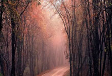 亚历山大万分里程碑塔图姆33+8 雷霆胜绿军.