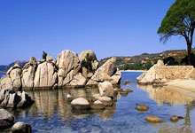 问鼎娱乐体育：[澳网]郑钦文：征战澳网 踏上新赛季的征程.